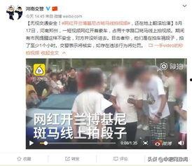 河南网红爆料新闻视频大全,新闻视频大全精彩回顾  第1张